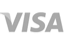 Logo Visa